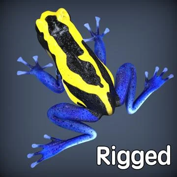 Poison Dyeing Frog Rigged 3D Model