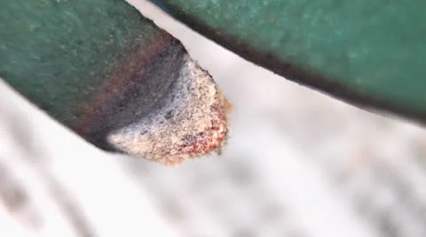 Poison Vídeo Stock 24953404