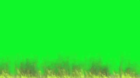 Poison Gas on Green Screen | Stock Video | Pond5