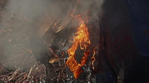 Poison smoke burning plastic in forest Stock Footage 265907448