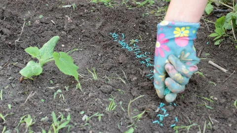 Poison for snails Stock Footage 134450427