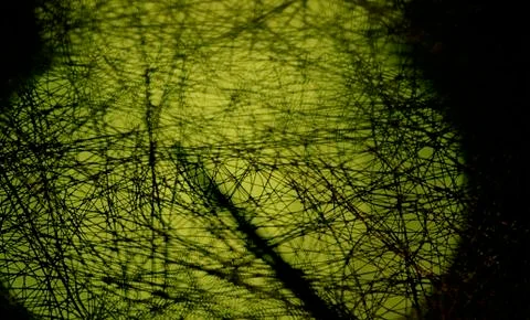 Poison Texture Stock Illustration