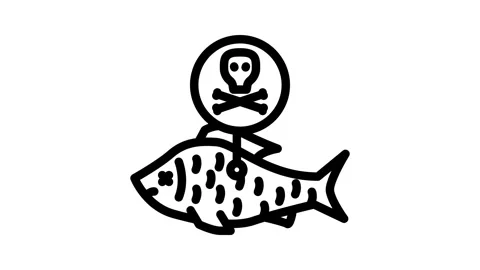 Poisoned fish Stock Footage 326747484
