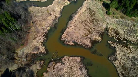 Poisoned water in a polluted river Stock Footage 196483237