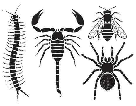 Poisonous insects set. Vector Illustrations. Stock-Illustration
