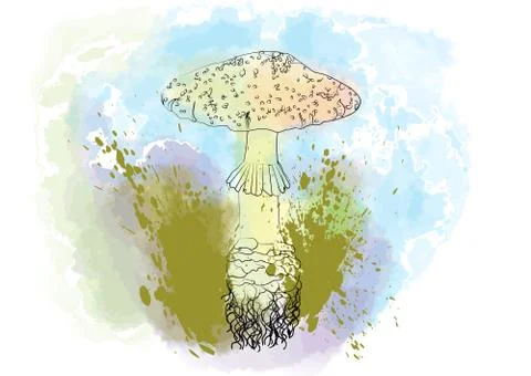 Poisonous mushroom Stock Illustration