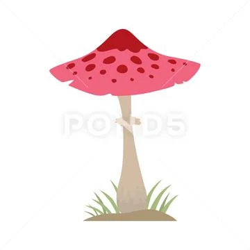 Poisonous red mushroom nature food vegetarian healthy autumn edible and fungus Stock Illustration
