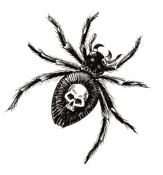 Poisonous spider Illustrazione stock
