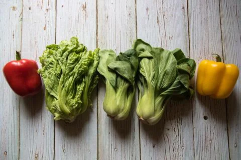 Pok choi vegetable on a background. Stock Photos