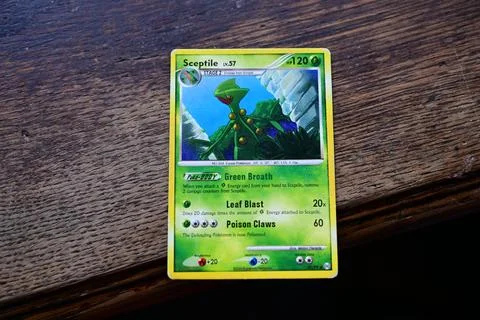 Pokemon cards. Sceptile. Stock Photos