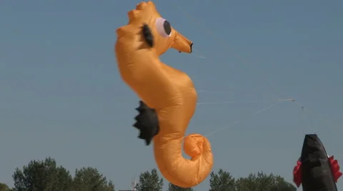 Pokemon GO themed kite flying festival on Toronto beaches Stock Footage