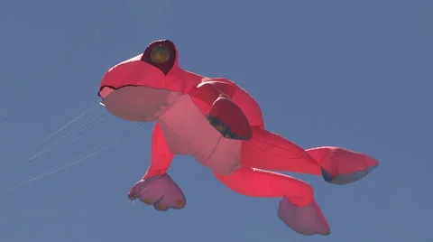 Pokemon GO themed kite flying festival on Toronto beaches Stock Footage