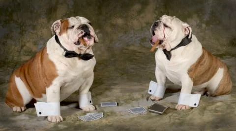 Poker game Stock Photos
