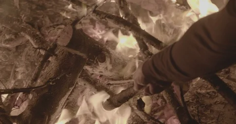 Poking Campfire With Stick Stock Footage 101401252