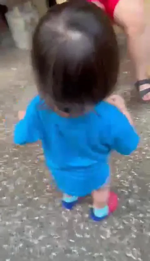 Poking Fun At The Dog, Philippines Stock Footage 304077976