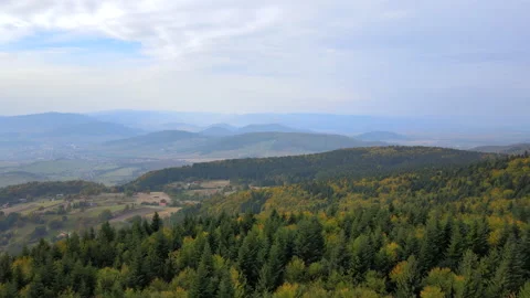 Polana Stock Footage 165378582