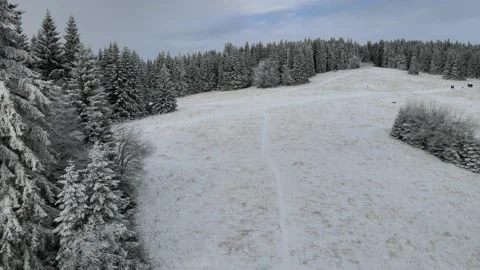 Polana winter snow Stock Footage 166076755