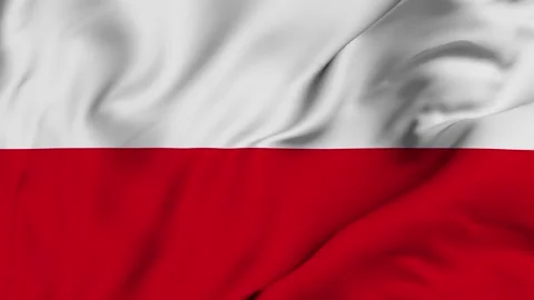 Poland 4K waving flag in loop Stock Footage 139565543