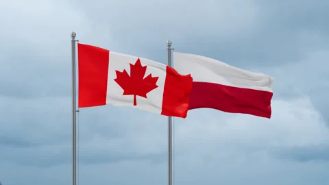 Poland and Canada flag Stock Footage 252025601
