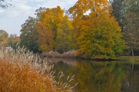 Poland Autumn Stock Photos
