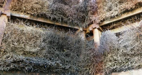Poland, falling water drops on a graduation tower in Konstancin-Jeziorna Stock Footage 239267312