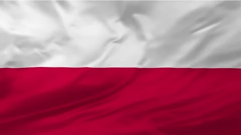 Poland flag background Stock Footage 263943148