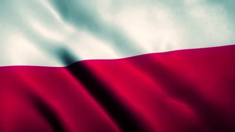 Poland Flag Blowing in the Wind Video stock 76091189