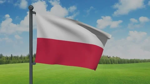 Poland Flag Video stock 153255299