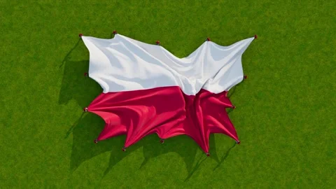 Poland flag 動画素材 201235432