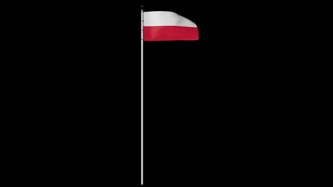 Poland Flag on Pole with Alpha Channel 库存影片 87255074