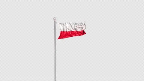 Poland   Flag Pole  Animation Include Alpha 3D Rendering Stock-Footage 312091018