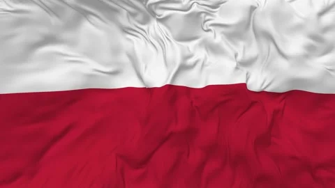 Poland Flag Seamless Looping Background Slow Motion Waving Stock Footage 233489356