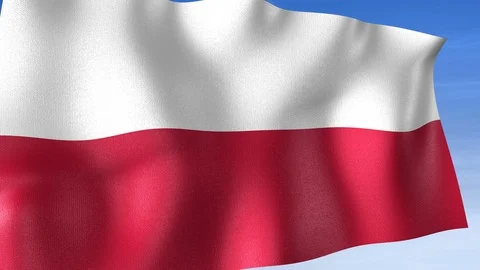 Poland Flag - Set of 3 Angles with Masks [3WaveSeries] Stock Footage 104588012