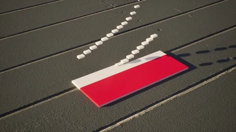 Poland Flag - Slow Motion Video stock 318866965