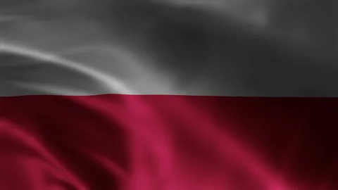 Poland Flag Video Animation Seamless Looping Footage 4k Stock Footage 252199165
