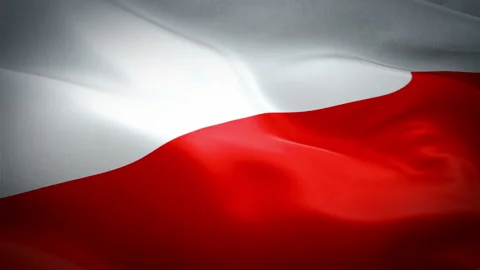 Poland flag video waving in wind. Realistic Polish Flag background Video stock 97700151