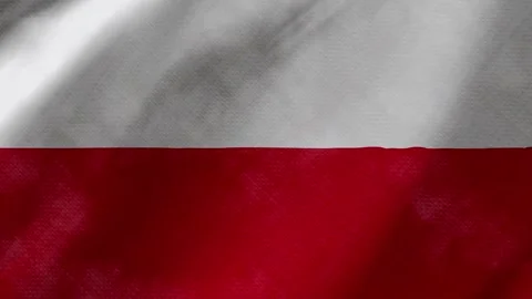 Poland flag waving background with real fabric texture Stock Footage 291917742