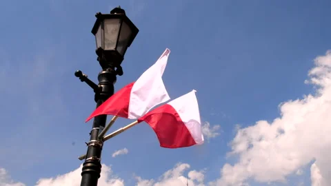 Poland flag waving on blue sky background Video stock 192392496