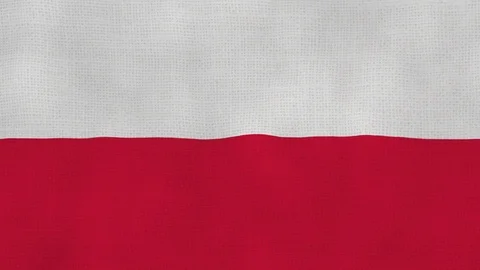 Poland flag waving Stock Footage 102643881