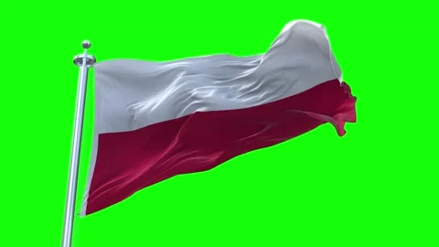 Poland Flag Waving in Loopable and Textured green screen background Stock Footage 296876149
