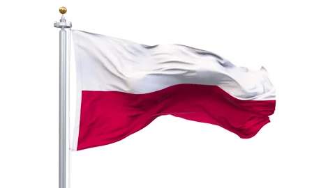 Poland flag waving looping with transparent background. Stockbeeldmateriaal 341453070