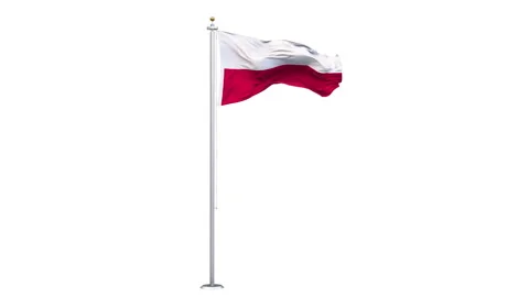 Poland flag waving looping with transparent background. Vidéo 341453127