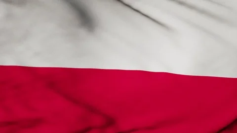 The Poland flag waving in the wind Stock Footage 80289065