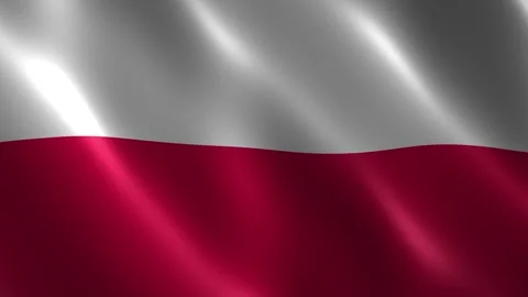 Poland flag waving in the wind Stock-Footage 348680839