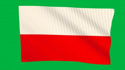 Poland flag waving in the wind on a green screen Video stock 343133944