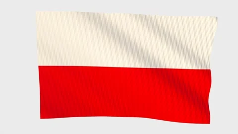 Poland flag waving in the wind on a grey background 스톡 동영상 343219985