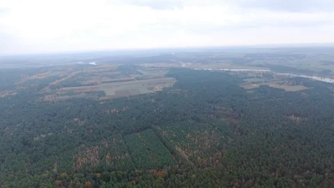 Poland Forest Stock Footage 119878348