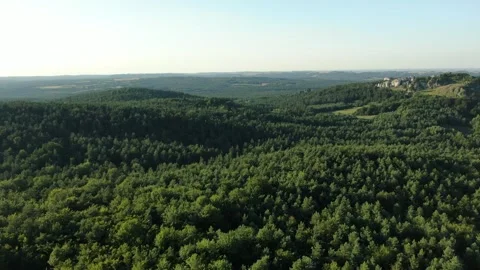 Poland forest limestone rock far Stock Footage 243114761