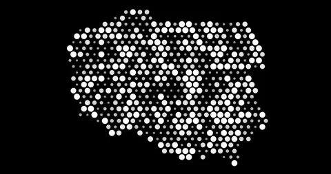 Poland Generative Circle Mesh Design Stock Footage 311957017