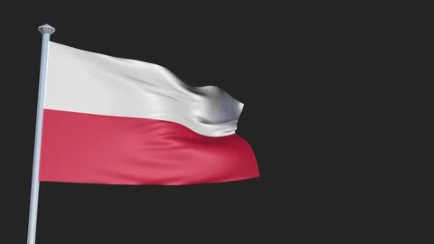 Poland - Loopable 3D flag animation with Alpha Channel and Transparency for y 스톡 동영상 91467500